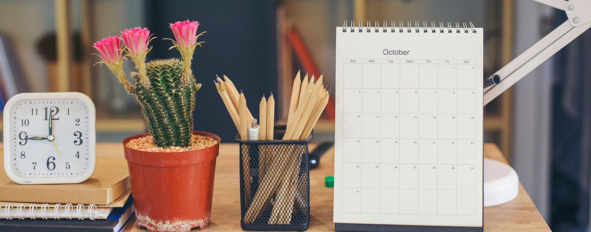 Calendario delle lezioni con porta penne, matite, quaderni e pianta
